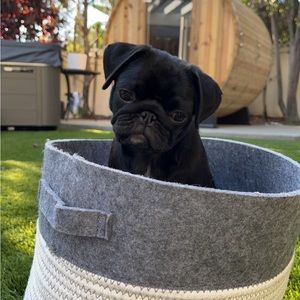 Meet your Posher, Cass